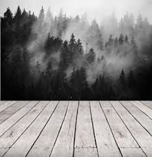 Black And White Forest Wall Mural Black And White Forest Wallpaper Mural Peel And Stick Remove Etsy Mural Wallpaper Forest Wallpaper Forest Wall Mural