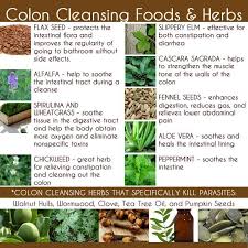 Easy Homesteading Colon Cleansing Foods And Herbs Colon Cleansing Foods Natural Colon Cleanse Colon Cleanse