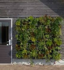 Pin Von Kaufmann Ralf Auf Balkonpflanzen Vertikaler Garten Garten Kaufen Grune Fassade