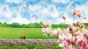 Maybe you would like to learn more about one of these? Pretty Background Wallpapers 60 Background Pictures