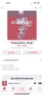 Anyone else nuh like what Vybz Kartel putting out. Ever since this artist  start drop tune, a just nastiness. Them not even a mixmaster the track  properly. Dancehall music better than this. :