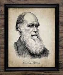 Charles Darwin Portrait Print Darwin Illustration Origin Etsy Charles Darwin Darwin Origin Of Species