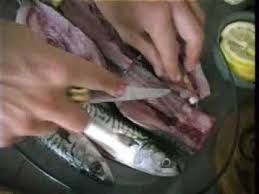 Maquereau Confit A L 39 Huile D 39 Olive Recette Youtube