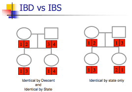 one tip per day ibs vs ibd