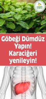 Gobegi Dumduz Yapin Karacigeri Yenileyin Faydalibilgiler Sifalibitkiler Kalicizayiflama Vertigo Faydalibilgiler Prat Health Public Health Jobs Herbal Cure