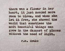 The Best And Most Beautiful Things In The World Meaning Sometimes The Most Beautiful Things Can Grow In The Darkness I M Just Trying To Grow Flowers Over Here Drake Quotes Quotes Words