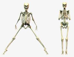 Day of the soldado 2018 lektor pl. Sicario Day Of The Soldado Skeleton Hd Png Download Transparent Png Image Pngitem
