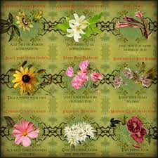 There Is A Language Little Known Lovers Claim It As Their Own Its Symbols Smile Upon The Land Wrought By Nature S Language Of Flowers Flowers Flower School