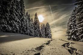 37 lockscreen wallpapers for android. Download Lockscreen Wallpapers For Windows 10 Windows 10 Lock Screen Wallpaper 87 Images The Lock Screen Background Images In Windows 10 Are Simply Cool And Setting Them As Wallpaper On