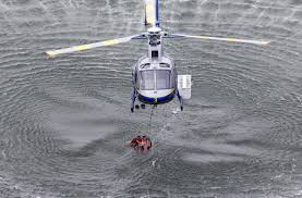 Image result for Natural Yellow 1999 Fleet