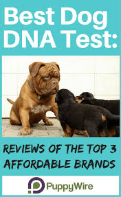 Pin On Pet Owner Tips And Tricks