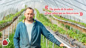 Jacques Jouve Fruits Rouges Du Velay