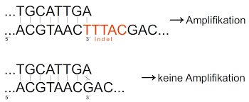 If the link is not present, no snps are currently linked to this gene. Uberprufung Und Kontrolle Von Indels Mit Snp Pol Dna Polymerase Genaxxon Bioscience Online Shop