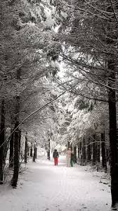 Winter in baraque de fraiture part 3 подробнее. Wandelroute Groen Witte Pijl Picture Of Baraque De Fraiture Vielsalm Tripadvisor