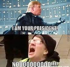 Liberal Mad Terriblefacebookmemes