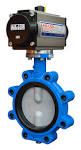Butterfly Valves Emerson US