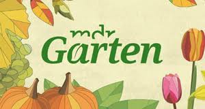 Übersicht | sendung mdr garten (mdr). Mdr Garten Sendetermine 14 08 2021 19 09 2021 Fernsehserien De