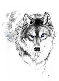 Wolf Tattoo Tumblr Djurtatueringar Vargtatueringar Varg
