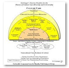 Nursing Theories Leininger S Theory Of Culture Care Nursing Theory Theories Nursing Information