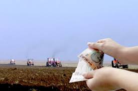 Un număr total de 187.722 cereri de plată, pentru o suprafaţă de 881.706 hectare, au fost depuse la agenţia de plăţi şi intervenţie pentru agricultură (apia) informează că se află de asemenea, pentru a veni în sprijinul fermierilor, apia a solicitat sprijinul tuturor primăriilor în vederea eliberării în format. Apia PregÄƒteÈ™te Campania 2020 Pentru Cererile Unice De PlatÄƒ Vrancea24