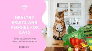 This is because there is a possibility that it will trigger fluid accumulation in the lungs and the chest area around the tissues of the heart which will deprive him of the oxygen he needs. Are Fruit And Vegetables Safe For Cats 13 Safe Foods For Your Kitty