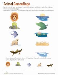 Animal Camouflage For Kids Worksheet Education Com Camouflage Activities Animal Adaptations Camouflage