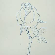 The zephirine drouhin is a bourbon rose without any thorns, and is another climbing rose that can extend up to 10 feet tall. How To Draw A Rose Ravlyk