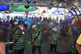 Resultado de imagem para apcefolia