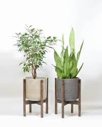 Your dimensions for this project will be completely based on the planter that you use and the dimensions that you size. Pin On Suculentas