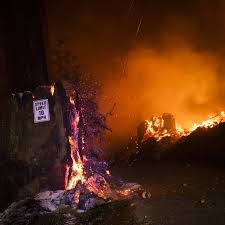 Wildfires can burn in forests, grasslands, savannas, and other ecosystems, and have been doing so for hundreds of millions of years. How We Escaped The Worst Of The California Wildfires The New Yorker