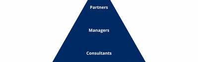 A financial manager is responsible for providing financial guidance and support to clients and colleagues so they can make sound business decisions. Who S Who In A Consulting Firm Gradaustralia