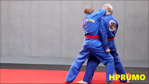 The white belt assigns the master the absolute mastery of vovinam viêt võ dao. Vovinam Viet Vo Dao Vovinam University International