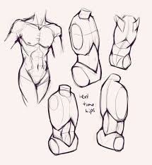 Reworks a male torso and next we're going to draw out or so in the sides. Drawing Drill 25 Characters And Torsos Smirking Raven Anatomy Sketches Anatomy Drawing Human Body Drawing