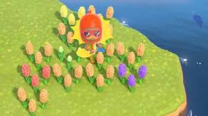 I don't get lucky with islands that have unique fauna. Acnh Purple Hyacinth How To Get Grow Animal Crossing Gamewith