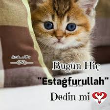 Allah Ayet Hadis Hzmuhammedsav Ibretlikhikayeler Islam Kuranikerim Namaz Ozlusozler Sozler Ayet Hadis Du Goruntuler Ile Dualar Ozlu Sozler Mutlu Evlilik