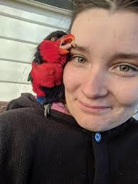 These nipples break before they bleed... or whatever Emery sang