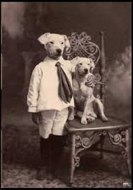 20 Strange And Adorable Vintage Photos Of Animals From The Past Vintage Everyday In 2020 Baby Dogs Vintage Dog Animals