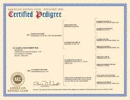 Discover Your Dog S Family Tree With An Akc Certified Pedigree American Kennel Club
