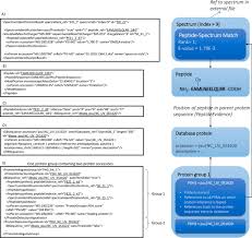 Referees are tasked with a number of duties during sporting events, including awarding points, imposing penalties, making sure that the rules of the sport are followed and upholding safety standards. The Mzidentml Data Standard Version 1 2 Supporting Advances In Proteome Informatics Molecular Cellular Proteomics
