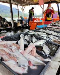 Jelebu adalah daerah kedua terbesar di negeri sembilan dan 62% kawasannya masih dilitupi hutan. Jalan2 Sekitar Pantai Kuala Kerteh Amazing Terengganu Facebook