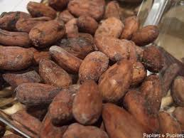 Feves De Cacao