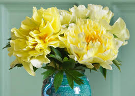 We did not find results for: Peony Flower Meaning Fun Facts About The Bloom Purewow