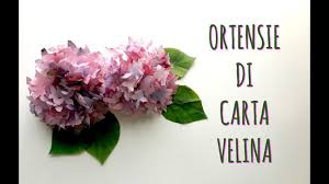 La nostra splendida ghirlanda di ortensie crea un fantastico benvenuto per la primavera. Ortensie Bellissime E Super Realistiche Con Carta Velina Fiori Di Carta Arte Per Te Youtube