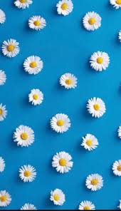 Sctv sinetron jangan mau mau anisa rahma, bunga zainal, dan chelsea olivia gank borju tertawa lepas photo's courtesy of twitter. Download 55 Koleksi Background Tumblr Bunga Hd Terbaik Download Background