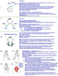 Acupressure Points