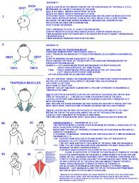 acupressure points