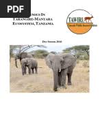 Image result for Sclerochiton obtusisepalus