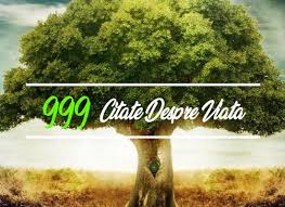 Acestea sunt cuvintele pe care doriti sa le imprimati si sa le inregistrati aceasta colectie de 50 de citate, mesaje motivationale prezinta unele dintre cele mai inspirate omul care pune o intrebare este prost pentru un moment. 700 Citate Despre Iubire Cele Mai Frumoase Cugetari Despre Iubire