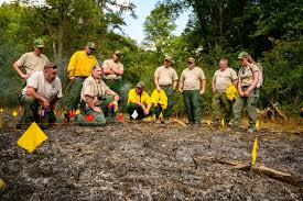 Alford home solutions 6316 maccorkle ave sw st. Rosey Santerre Why I Became A State Forester In West Virginia Wv Division Of Forestry