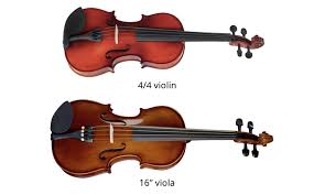 Image result for Viola
